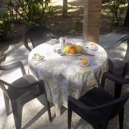 Dancalia 14 * ארקליאה מארה